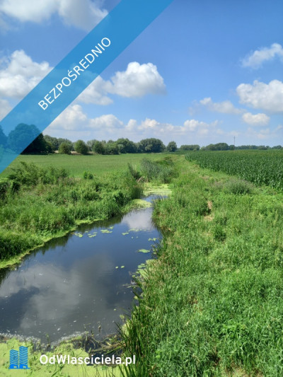 Sprzedam działkę rolno-budowlaną  - Galomin  -
mazowieckie Zdjęcie nr 5