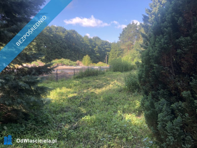 Sprzedam dzialke budowlana - Bierzewice  - mazowieckie