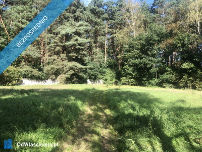 Sprzedam dzialke budowlana - Bierzewice  -
mazowieckie Zdjęcie nr 3