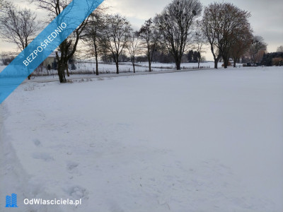 Strzelce Działka do zabudowy siedliskowej - Strzelce  -
lubelskie Zdjęcie nr 6