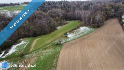 Sprzedam udział w gospodarstwie rolnym - Gnojnik  -
małopolskie Zdjęcie nr 7