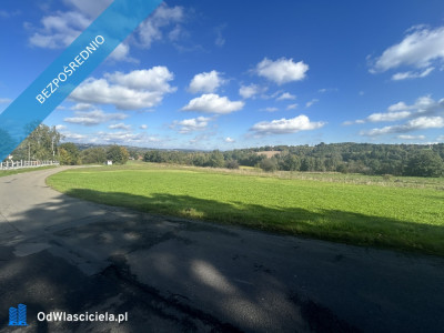 Syndyk sprzeda 14 udziału w nieruchomosci gruntowej w miejscowości Stadniki Gmina Dobczyce - Stadniki  - małopolskie