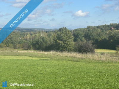 Syndyk sprzeda 14 udziału w nieruchomosci gruntowej w miejscowości Stadniki Gmina Dobczyce - Stadniki  -
małopolskie Zdjęcie nr 3