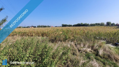 Sprzedam działkę - Śmigiel - Śmigiel  -
wielkopolskie Zdjęcie nr 3