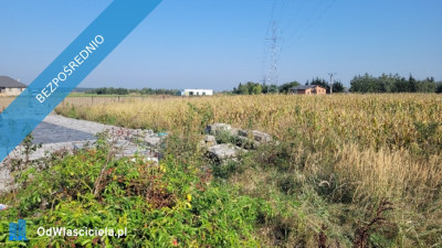 Sprzedam działkę - Śmigiel - Śmigiel  -
wielkopolskie Zdjęcie nr 5