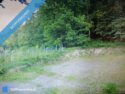 Działka udowlana w zagórniku - Zagórnik  -
małopolskie Zdjęcie nr 12