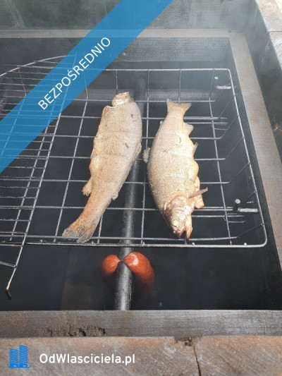 Działka ROD Mickiewicza - Mickiewicza  -
podlaskie Zdjęcie nr 2