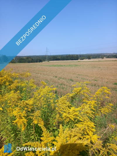Działki budowlane  110 złm  Uniegoszcz - Uniegoszcz  - dolnośląskie