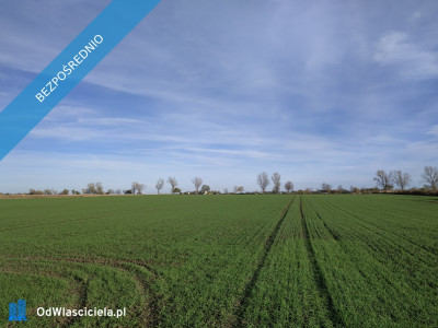 Na sprzedaż sprzedaż nieruchomości gruntowych Wierzbice woj dolnośląskie  5683 - Wierzbice  -
dolnośląskie Zdjęcie nr 2