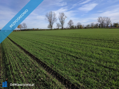 Na sprzedaż sprzedaż nieruchomości gruntowych Wierzbice woj dolnośląskie  5683 - Wierzbice  -
dolnośląskie Zdjęcie nr 5