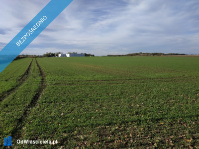 Na sprzedaż sprzedaż nieruchomości gruntowych Wierzbice woj dolnośląskie  5683 - Wierzbice  -
dolnośląskie Zdjęcie nr 6