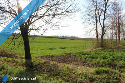 Sprzedam działkę budowlaną przy asfalcie - Hulcze  -
lubelskie Zdjęcie nr 6