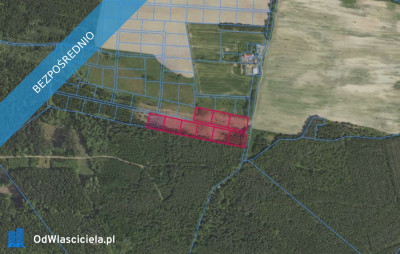 Działki 3193 i inne w miejscowości Grabowno Wielkie - Grabowno Wielkie  -
dolnośląskie Zdjęcie nr 2
