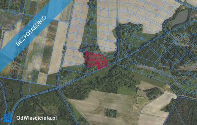 Działki 35695 i inne w miejscowości Grabowno Wielkie - Grabowno Wielkie  -
dolnośląskie Zdjęcie nr 2