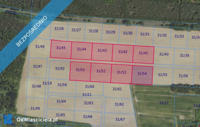 Działki 3141 i inne w miejscowości Grabowno Wielkie - Grabowno Wielkie  - dolnośląskie