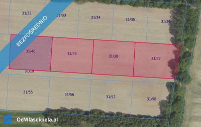 Działki 3137 i inne w miejscowości Grabowno Wielkie - Grabowno Wielkie  - dolnośląskie