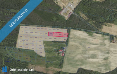 Działki 3137 i inne w miejscowości Grabowno Wielkie - Grabowno Wielkie  -
dolnośląskie Zdjęcie nr 2