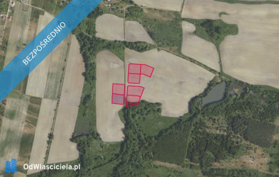 Działki 35629 i inne w miejscowości Grabowno Wielkie - Grabowno Wielkie  -
dolnośląskie Zdjęcie nr 2