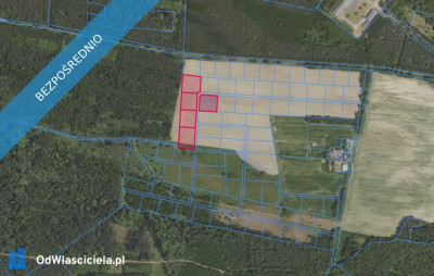 Działki 3146 i inne w miejscowości Grabowno Wielkie - Grabowno Wielkie  -
dolnośląskie Zdjęcie nr 2