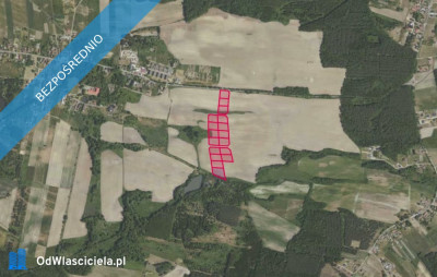 Działki 33684 i inne w miejscowości Grabowno Wielkie - Grabowno Wielkie  -
dolnośląskie Zdjęcie nr 2