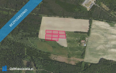 Działki 3159 w miejscowości Grabowno Wielkie - Grabowno Wielkie  -
dolnośląskie Zdjęcie nr 2