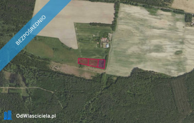 Działki 3172 3173 i 3174 w miejscowości Grabowno Wielkie - Grabowno Wielkie  -
dolnośląskie Zdjęcie nr 2