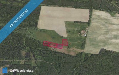 Działki 3171 i inne w miejscowości Grabowno Wielkie - Grabowno Wielkie  -
dolnośląskie Zdjęcie nr 2
