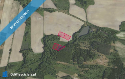 Działki 35652 i inne w miejscowości Grabowno Wielkie - Grabowno Wielkie  -
dolnośląskie Zdjęcie nr 2