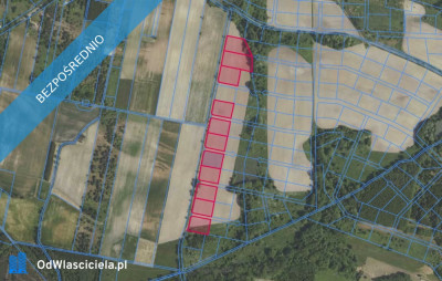 Działki 35624 i inne w miejscowości Grabowno Wielkie - Grabowno Wielkie  - dolnośląskie
