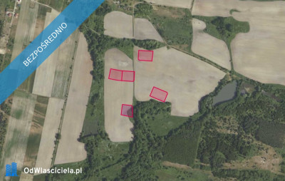 Działki 35620 w miejscowości Grabowno Wielkie - Grabowno Wielkie  - dolnośląskie