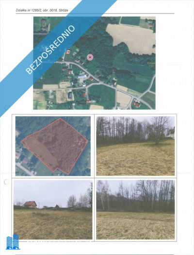 Syndyk sprzeda udział 23 w prawie własności nieruchomości gruntowej niezabudowanej położonej w Stróżach gmina Grybów powiat nowosądecki - Stróże  - małopolskie