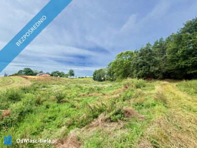 Duża działka 6000 m w Demlinie  spokój natura i szybki dojazd do miasta - Demlin  -
pomorskie Zdjęcie nr 2