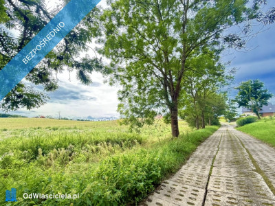 Duża działka 6000 m w Demlinie  spokój natura i szybki dojazd do miasta - Demlin  -
pomorskie Zdjęcie nr 5