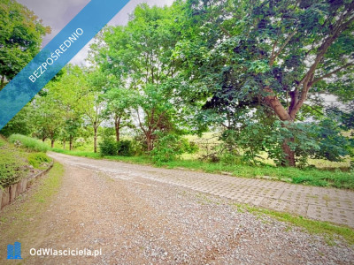 Duża działka 6000 m w Demlinie  spokój natura i szybki dojazd do miasta - Demlin  -
pomorskie Zdjęcie nr 6