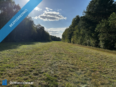 UROKLIWE MIEJSCE BLISKO NATURY  - Rydzów  -
podkarpackie Zdjęcie nr 3