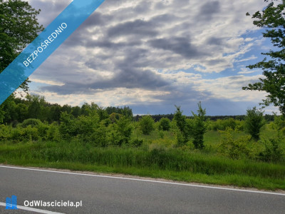 Działka 5400 m2 budowlana pod firmę działalność inwestycyjna warunki zabudowy WZ na 3 domy - Dęba  -
świętokrzyskie Zdjęcie nr 2