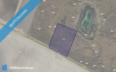 Działka 7163 w miejscowości Młodasko - Młodasko  -
wielkopolskie Zdjęcie nr 2