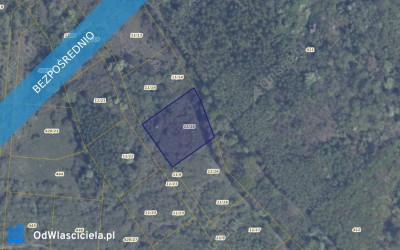 Działka 1115 w Pręgowie Górnym - Pręgowo  -
pomorskie Zdjęcie nr 2