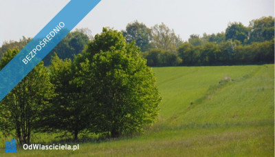 Syndyk Działka w miejscowości Ligota Woźnicka miasto Woźniki - Ligota Woźnicka  -
śląskie Zdjęcie nr 2