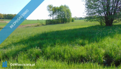 Syndyk Działka w miejscowości Ligota Woźnicka miasto Woźniki - Ligota Woźnicka  -
śląskie Zdjęcie nr 4