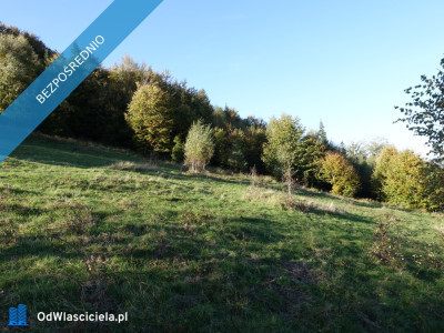 Brenna 253 ha działka inwestycyjna blisko wyciągu - Brenna  -
śląskie Zdjęcie nr 9
