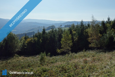 Brenna 253 ha działka inwestycyjna blisko wyciągu - Brenna  -
śląskie Zdjęcie nr 2