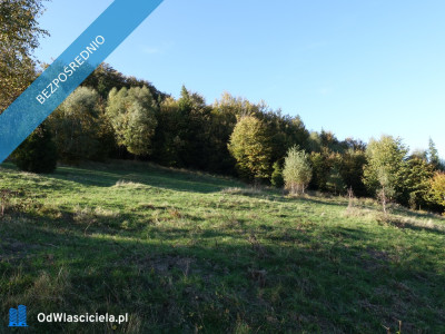 Brenna 253 ha działka inwestycyjna blisko wyciągu - Brenna  -
śląskie Zdjęcie nr 7