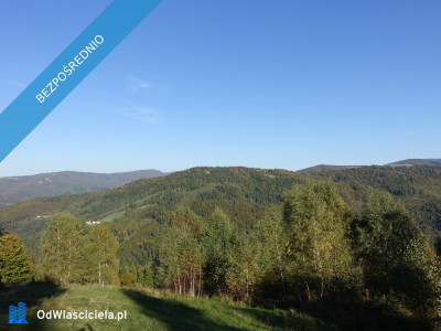 Brenna 253 ha działka inwestycyjna blisko wyciągu - Brenna  -
śląskie Zdjęcie nr 8