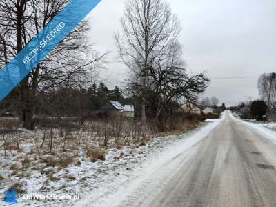 Słynny zalew Sielpia Wielka zwana świętokrzyską Ibizą Działka doskonała do zamieszkania wakacyjnie lub pod inwestycję Cisza i spokój dojazd z Warszawy trasą S7 - Cisownik  -
świętokrzyskie Zdjęcie nr 10