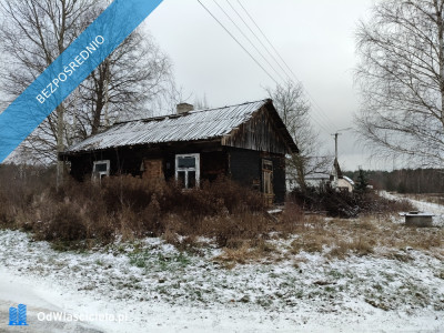 Słynny zalew Sielpia Wielka zwana świętokrzyską Ibizą Działka doskonała do zamieszkania wakacyjnie lub pod inwestycję Cisza i spokój dojazd z Warszawy trasą S7 - Cisownik  -
świętokrzyskie Zdjęcie nr 13