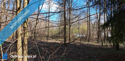 PROMOCJA Dwie działki w cenie jednej Słynny zalew SIELPIA Cisza i spokój szybki dojazd z Warszawy S77 - Przyłogi  -
świętokrzyskie Zdjęcie nr 6