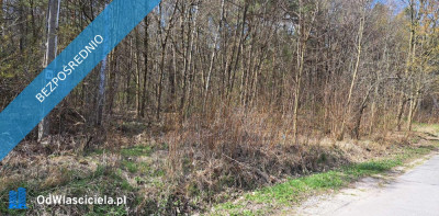 PROMOCJA Dwie działki w cenie jednej Słynny zalew SIELPIA Cisza i spokój szybki dojazd z Warszawy S77 - Przyłogi  -
świętokrzyskie Zdjęcie nr 7