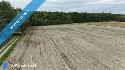Pomiechówek Wymysły 4332m2 budowlana 38km do centrum W-wy - Wymysły  -
mazowieckie Zdjęcie nr 3