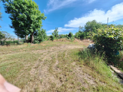 Działka budowlana na sprzedaż Przytok 814 m2 - Przytok  -
lubuskie Zdjęcie nr 6